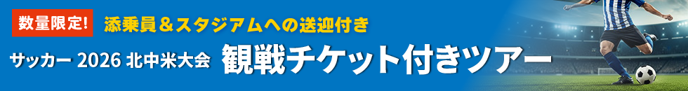 【観戦チケットをお持ちのお客様向け】添乗員＆スタジアムへの送迎付きダラス・モンテレイへの旅